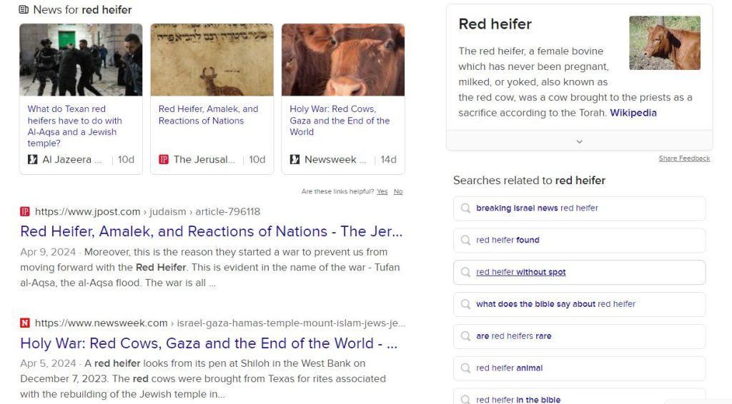 Parah Adumah – the Red Heifer